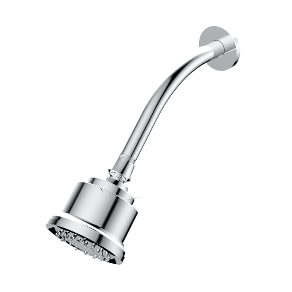 Multifunction Cylindrical Showerhead with Arm and Flange