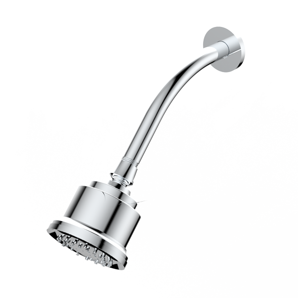 Multifunctional Cylindrical Showerhead with Arm and Flange