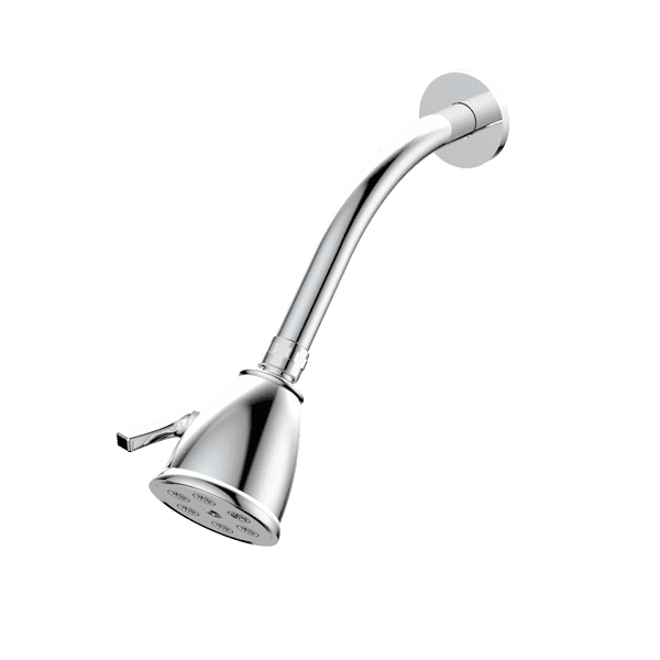 Standard 6 Port Showerhead with Arm and Flange