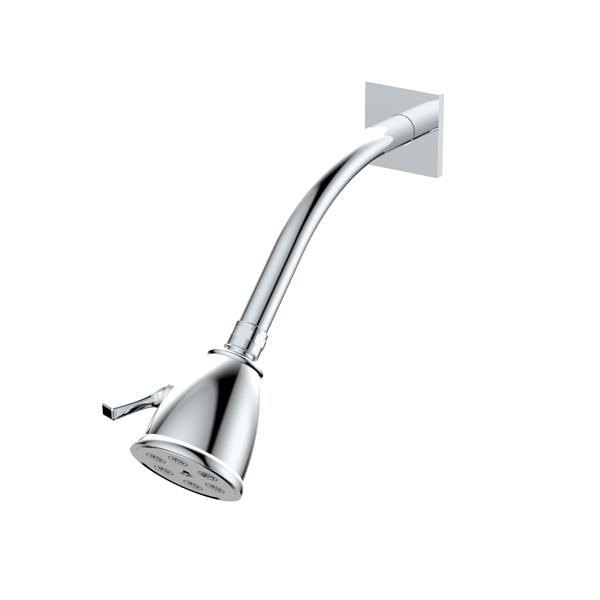 Standard 6 Port Shower Head with Arm and Flange