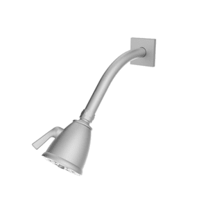 Standard 6 Port Showerhead with Arm and Flange