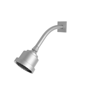 Multifunction Cylindrical Showerhead with Arm and Flange