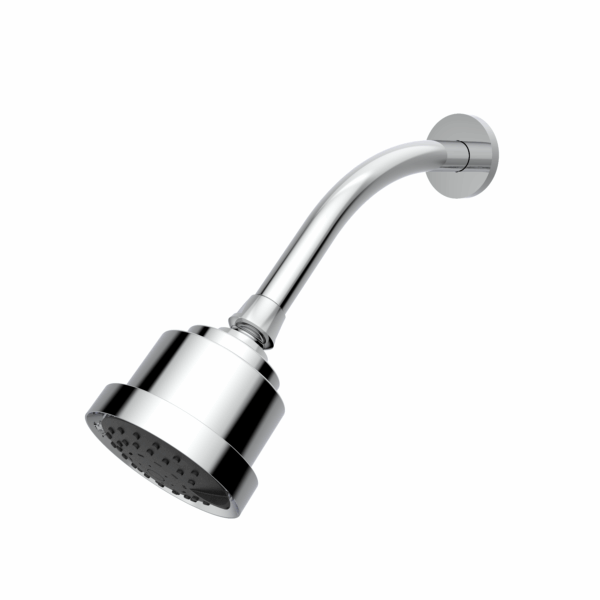 Multifunction Cylindrical Showerhead with Arm and Flange - Santec